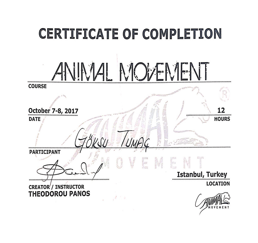 ANIMAL MOVEMENT