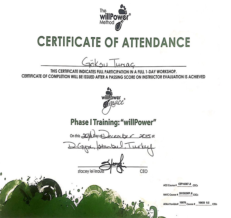 CERTIFICATE OF ATTENDANCE